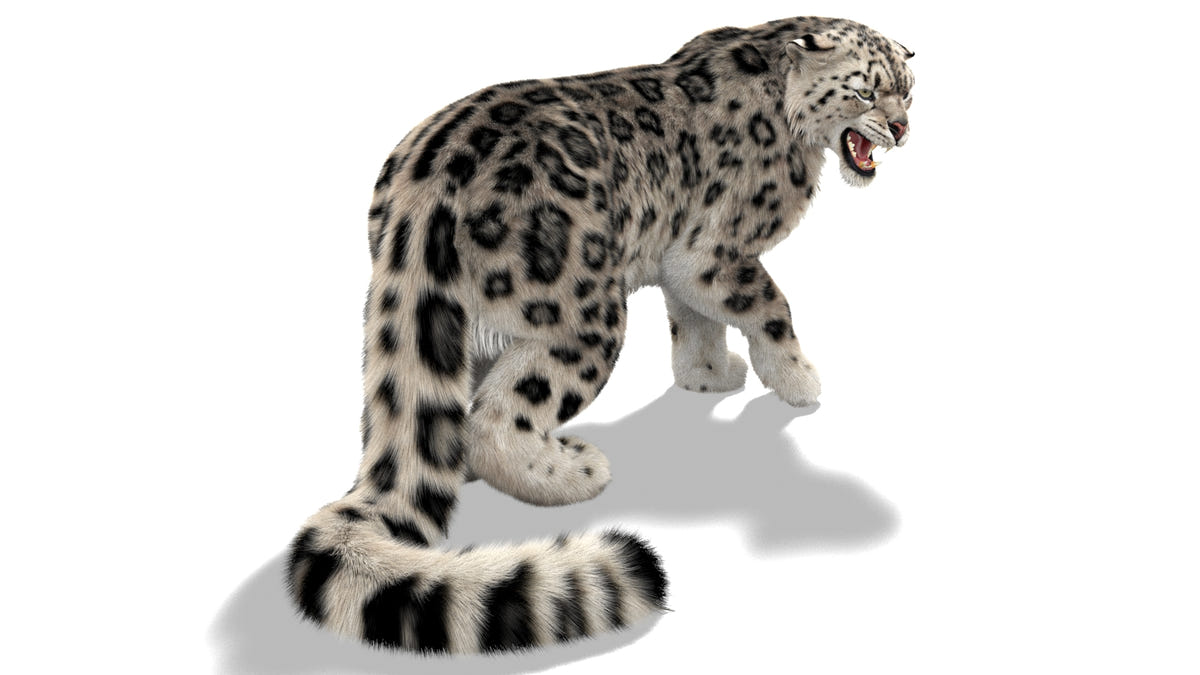 Rigged Snow Leopard 3D Model with Ornatrix Fur