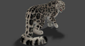 Rigged Snow Leopard 3D Model with Ornatrix Fur for Film Projects Thumbnail
