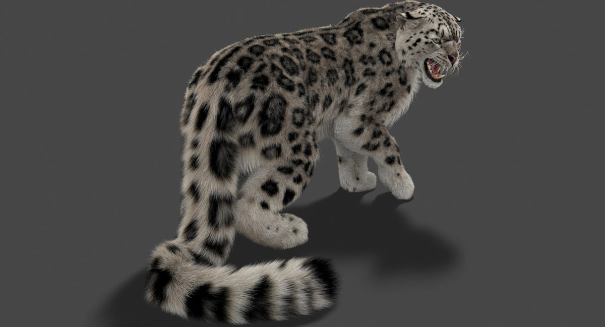 Rigged Snow Leopard 3D Model with Ornatrix Fur for Film Projects