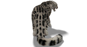 Rigged Snow Leopard 3D Model with Ornatrix Fur Thumbnail