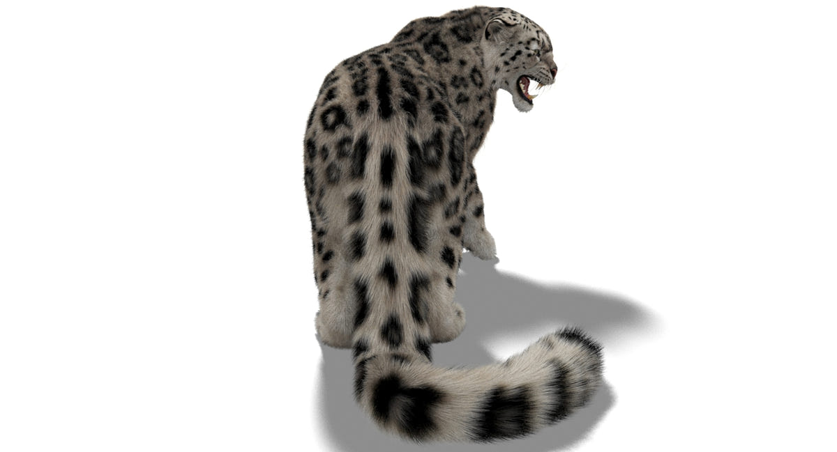 Rigged Snow Leopard 3D Model with Ornatrix Fur