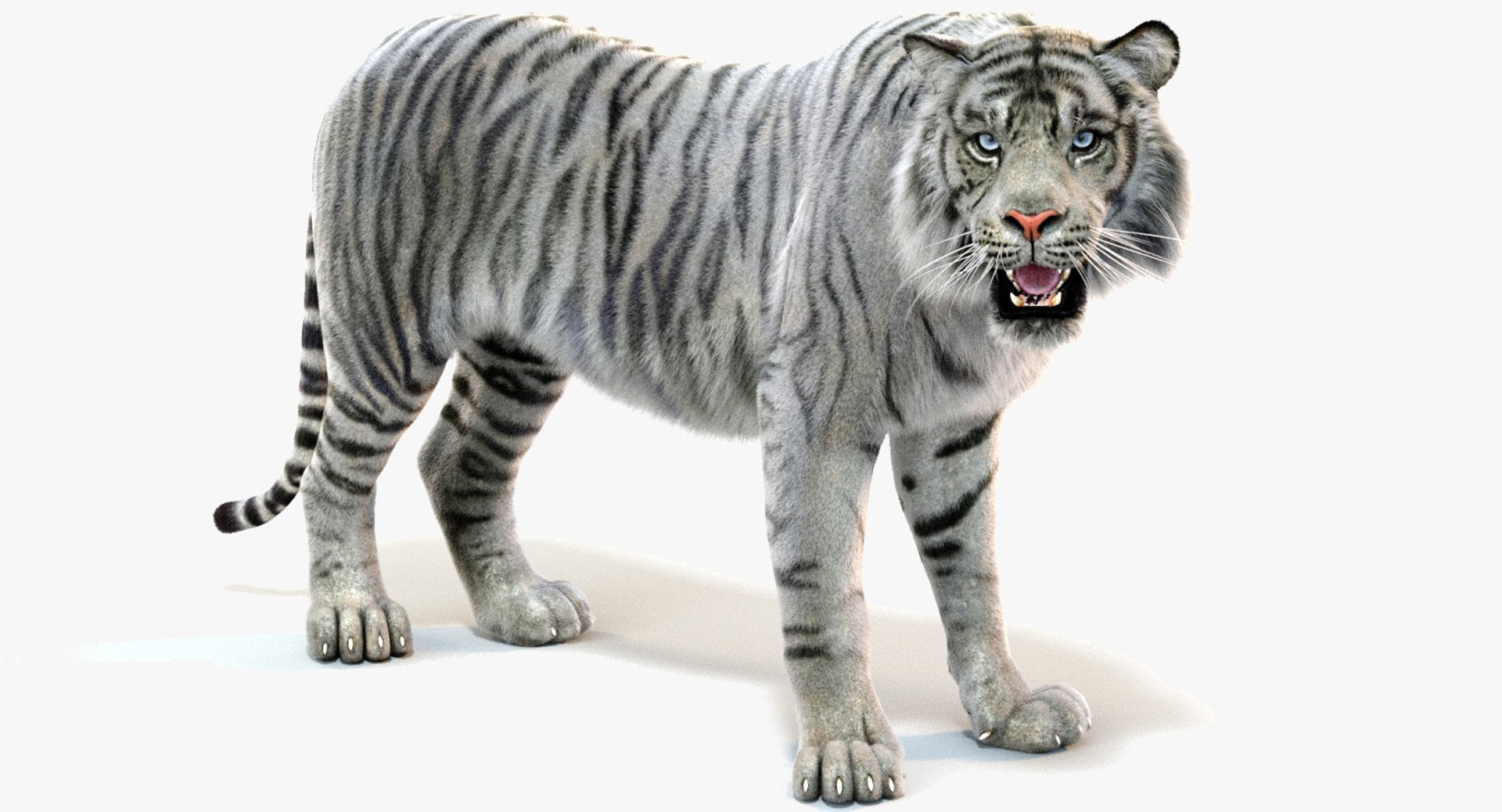 Rigged White Tiger 3D Model with Fur