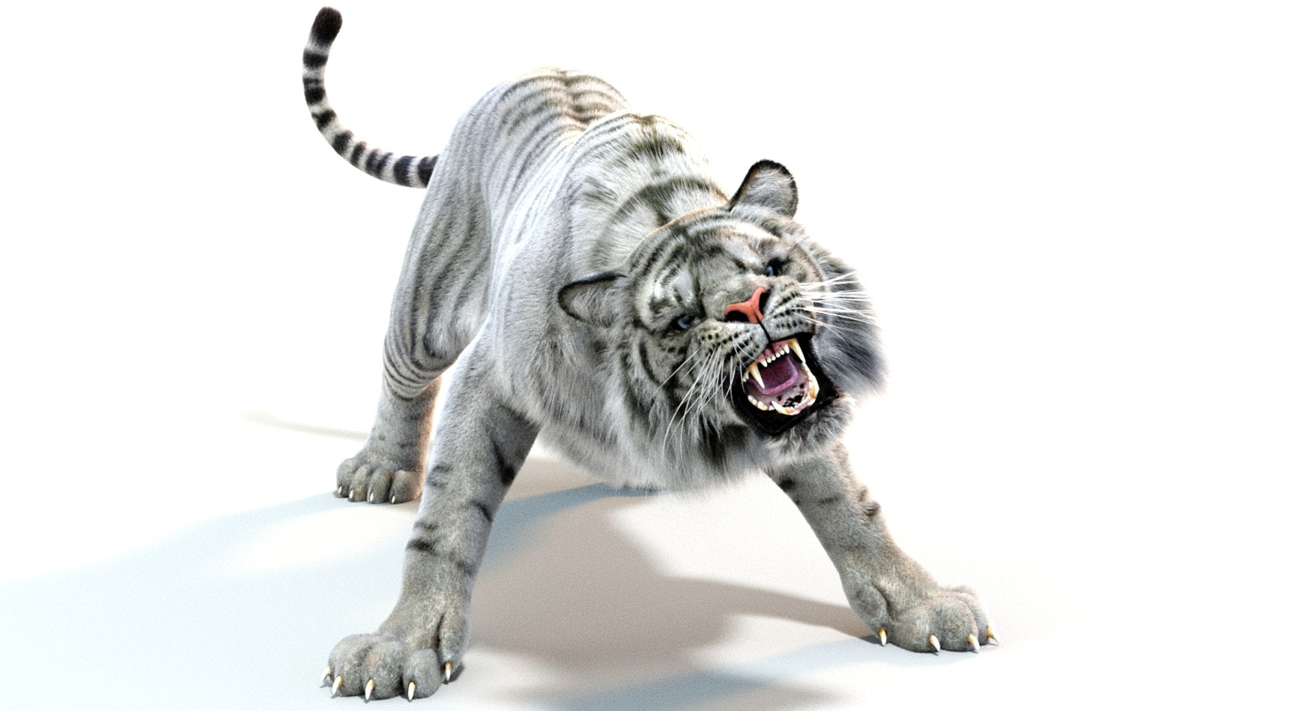 Rigged White Sumatran Tiger 3D Model with Fur
