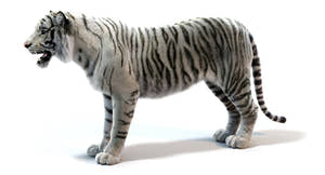White Sumatran Tiger 3D Model Rigged Fur Thumbnail
