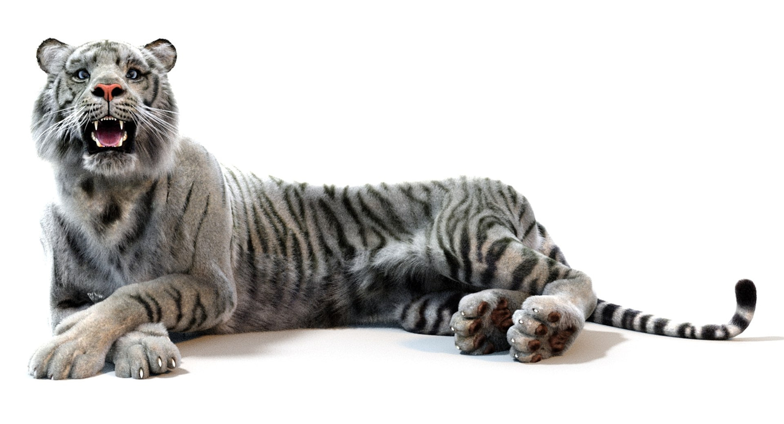 White Sumatran Tiger 3D Model Rigged Fur