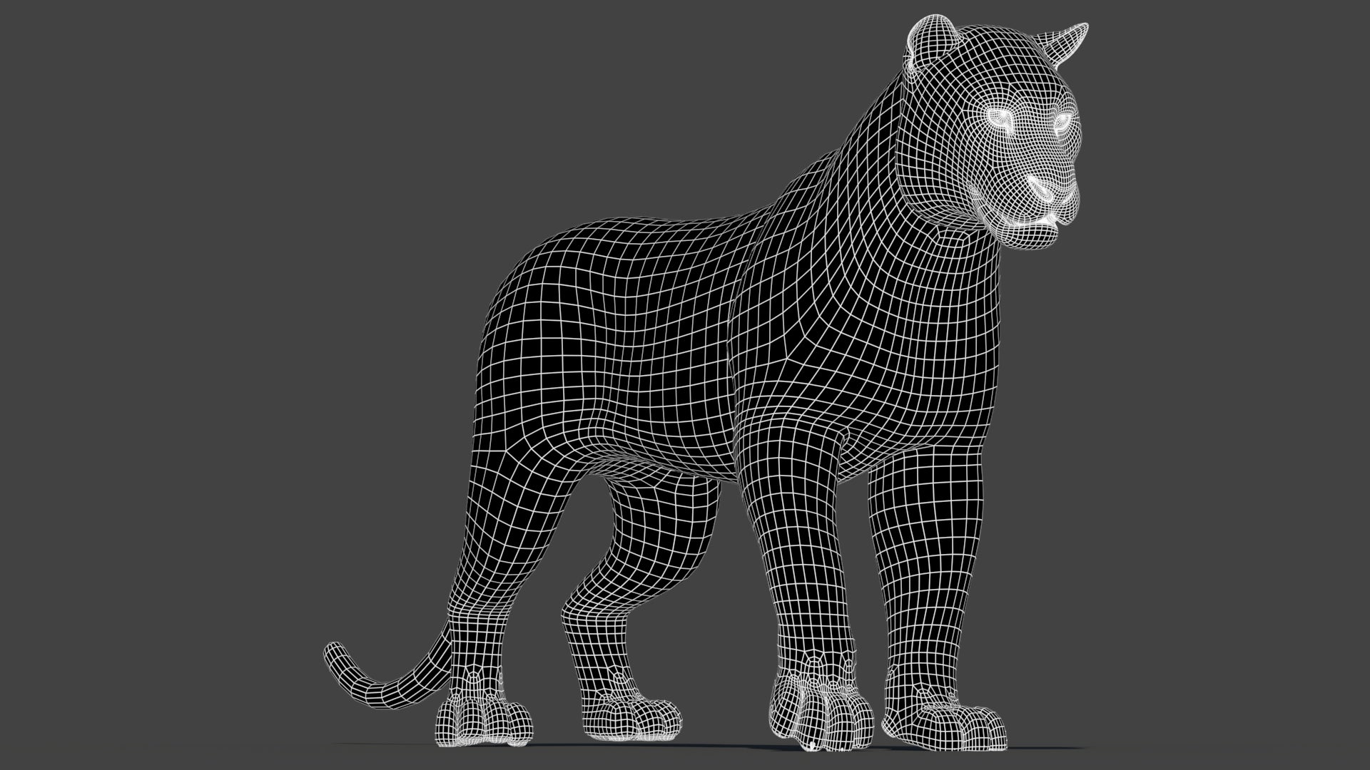 Rigged Tiger 3D Model Wireframe View Subdivision Level 1