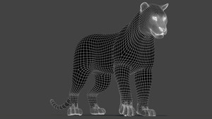 Rigged Siberian White Tiger 3D Model Wireframe View 1 Thumbnail