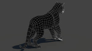 Rigged Tiger 3D Model Wireframe View Subdivision Level 0 Thumbnail