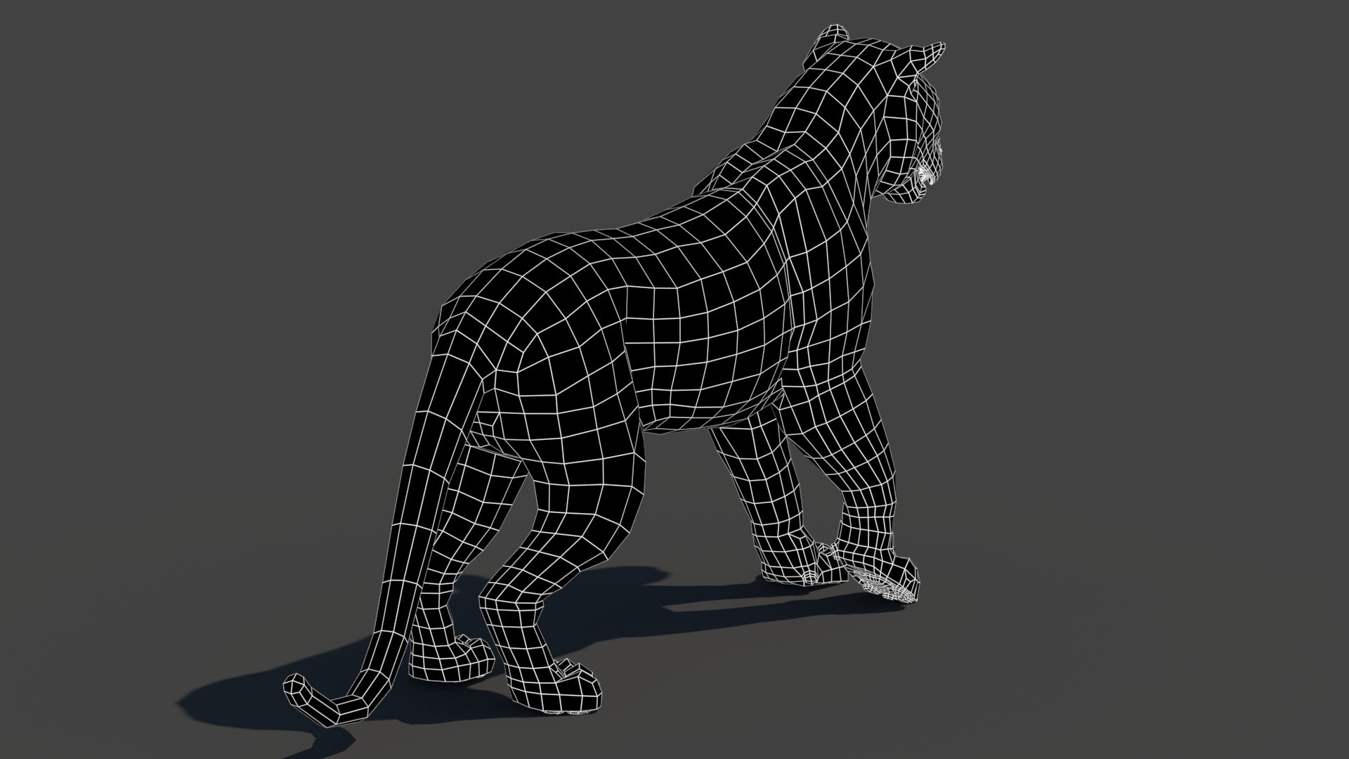 Rigged Tiger 3D Model Wireframe View Subdivision Level 0