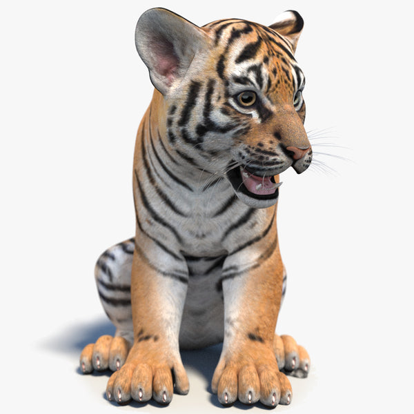 Rigged Tiger Cub 3D Model
