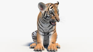 Rigged Tiger Cub 3D Model Thumbnail