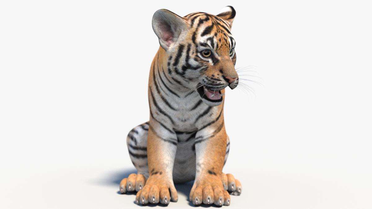 Rigged Tiger Cub 3D Model