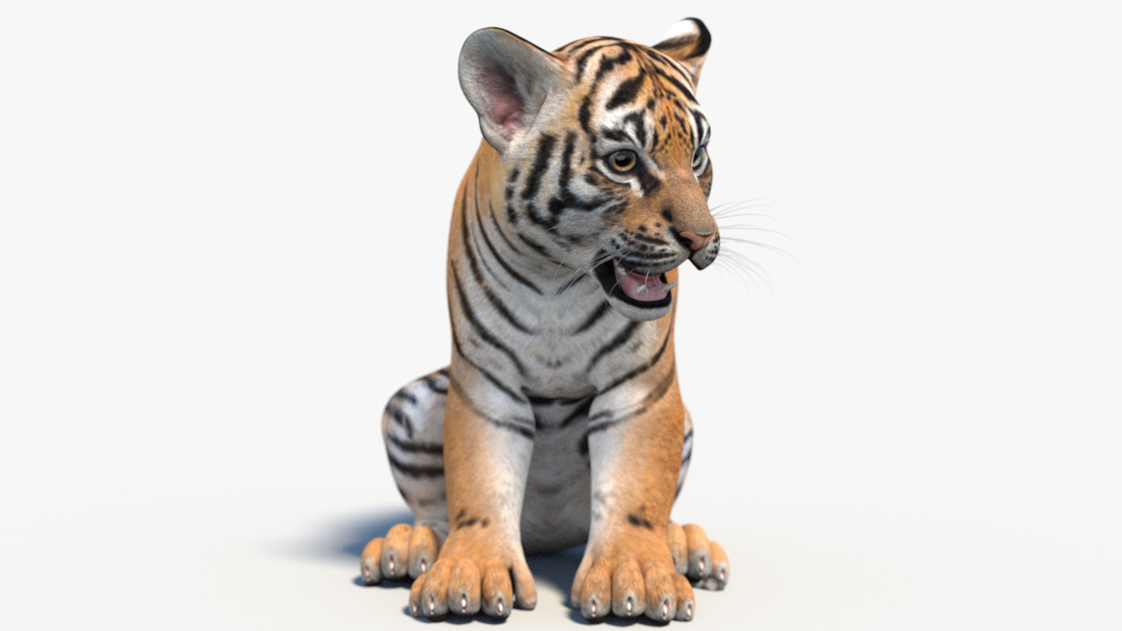 Rigged Tiger Cub 3D Model
