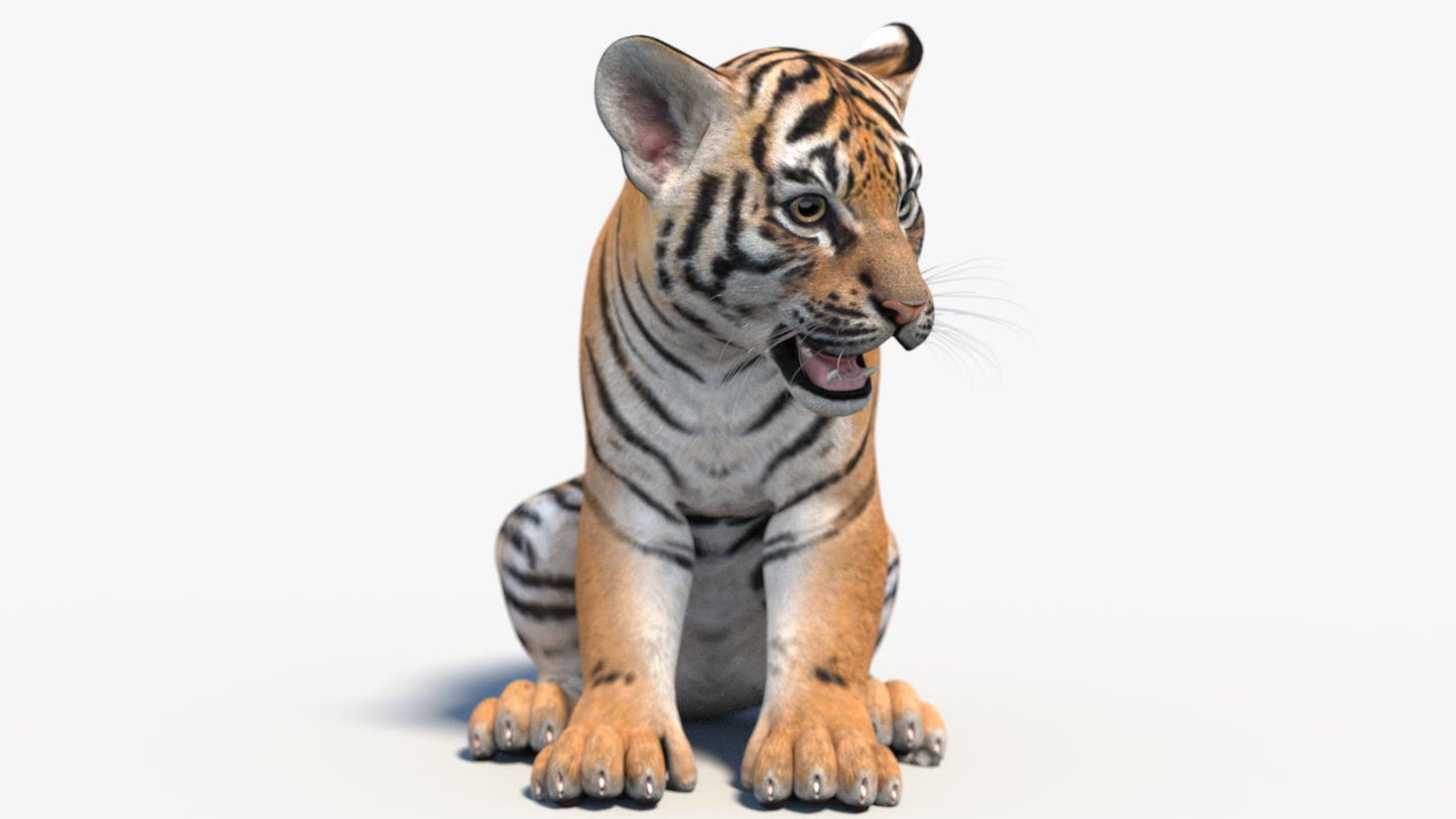 Rigged Tiger Cub 3D Model