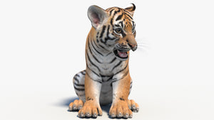 Rigged Tiger Cub 3D Model Thumbnail