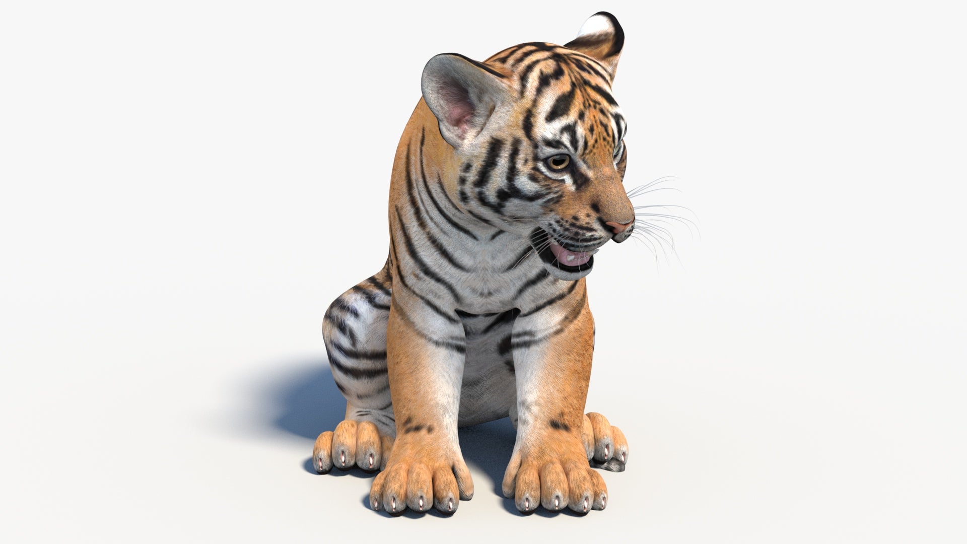 Rigged Tiger Cub 3D Model