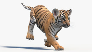 Rigged Tiger Cub 3D Model Thumbnail
