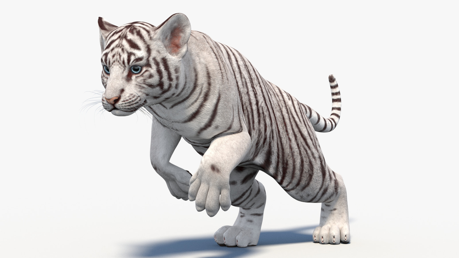 Rigged White Baby Tiger 3D Model