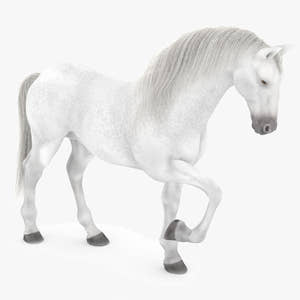 Rigged White Horse 3D Model Thumbnail