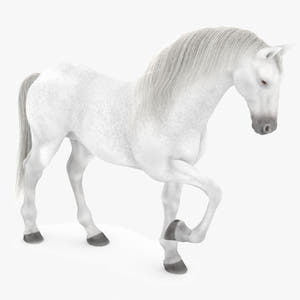Rigged White Horse 3D Model Thumbnail