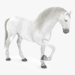 Rigged White Horse 3D Model Thumbnail