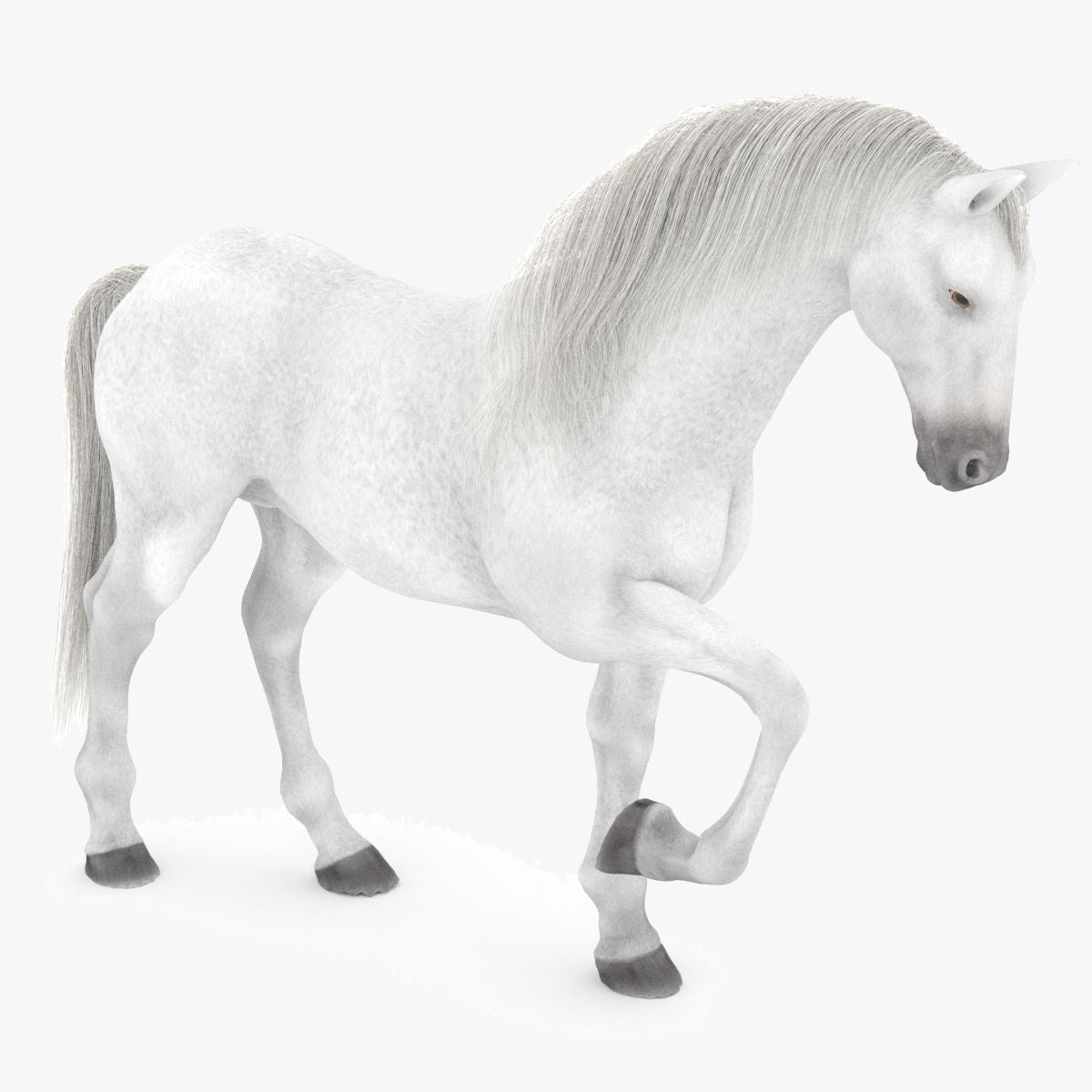 Rigged White Horse 3D Model