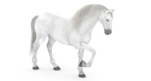 Rigged White Horse 3D Model Thumbnail