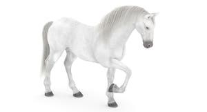 Rigged White Horse 3D Model Thumbnail