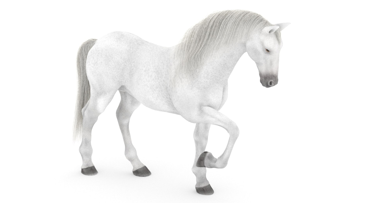 Rigged White Horse 3D Model