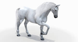 Rigged White Horse 3D Model Thumbnail