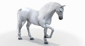 Rigged White Horse 3D Model Thumbnail