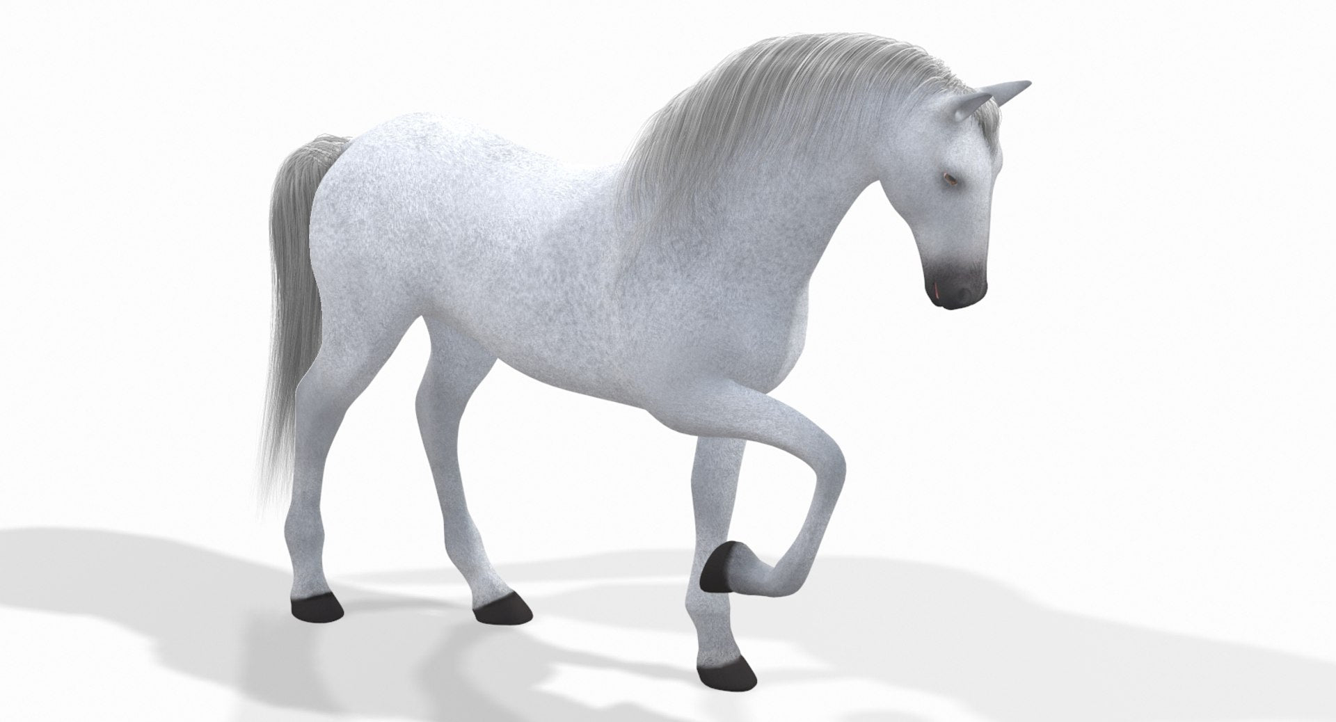 Rigged White Horse 3D Model