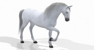 Rigged White Horse 3D Model Thumbnail