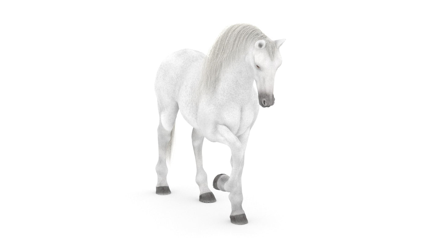 Rigged White Horse 3D Model