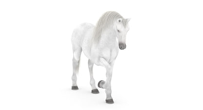 Rigged White Horse 3D Model