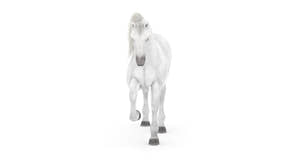 Rigged White Horse 3D Model Thumbnail