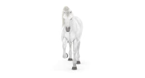 Rigged White Horse 3D Model Thumbnail