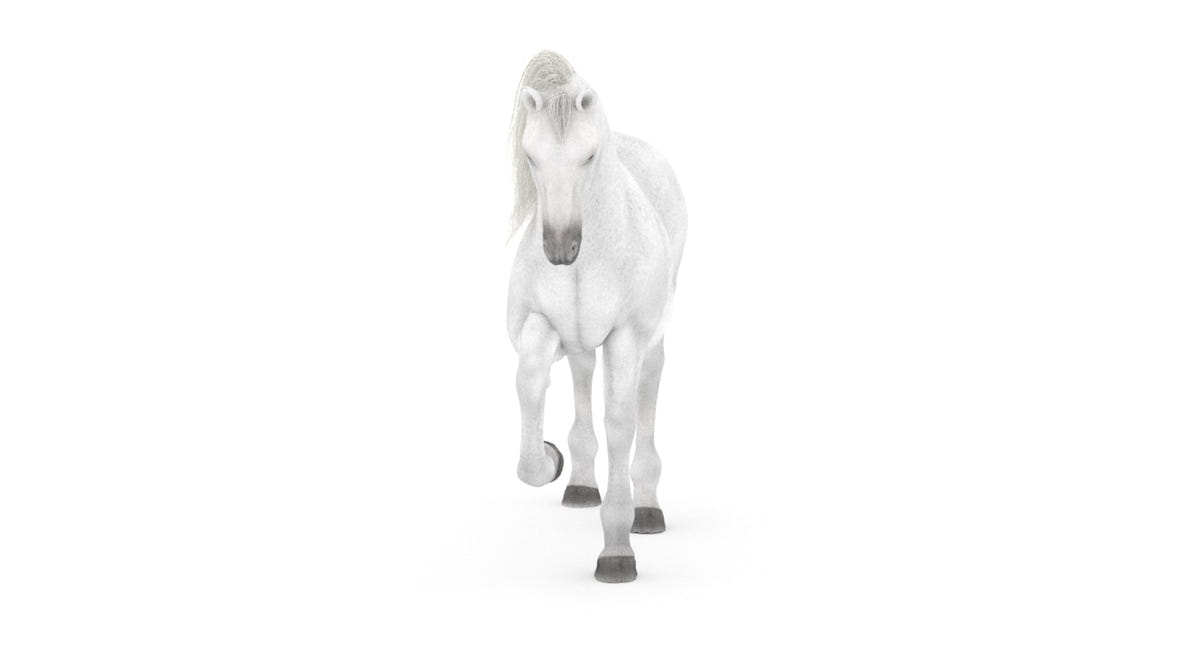 Rigged White Horse 3D Model