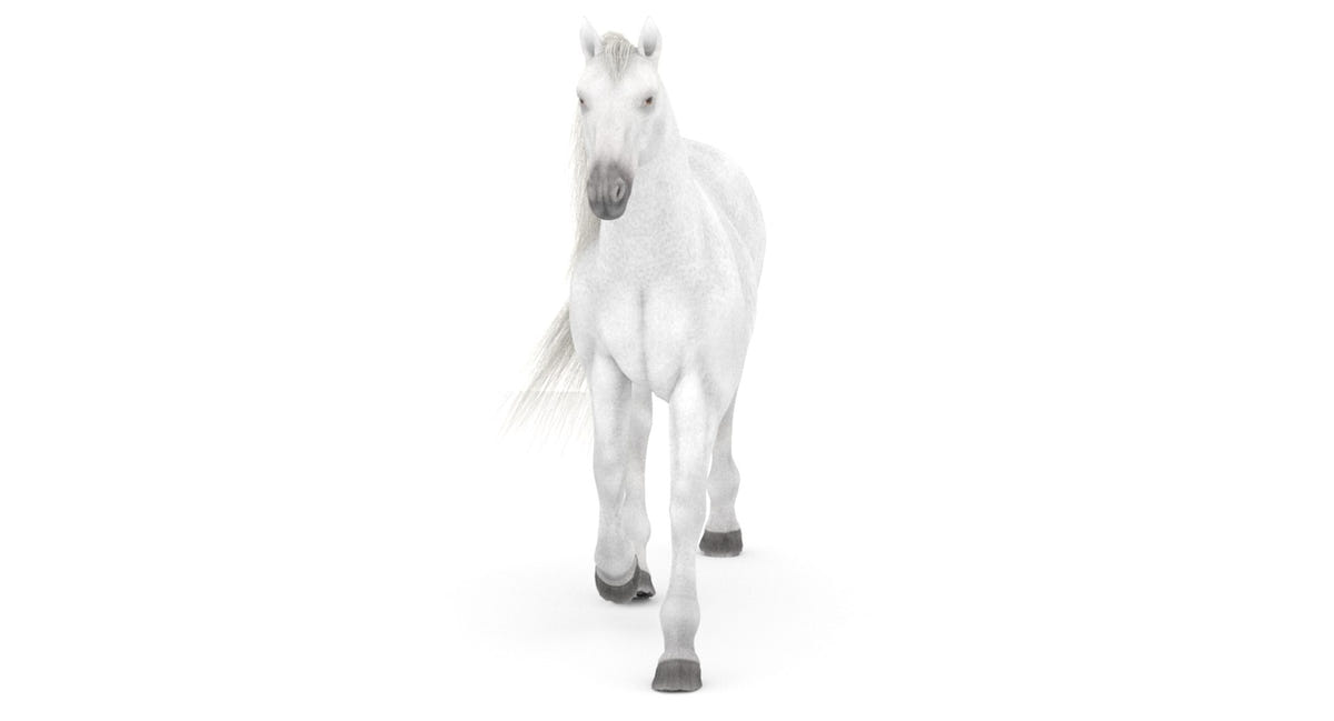 Rigged White Horse 3D Model