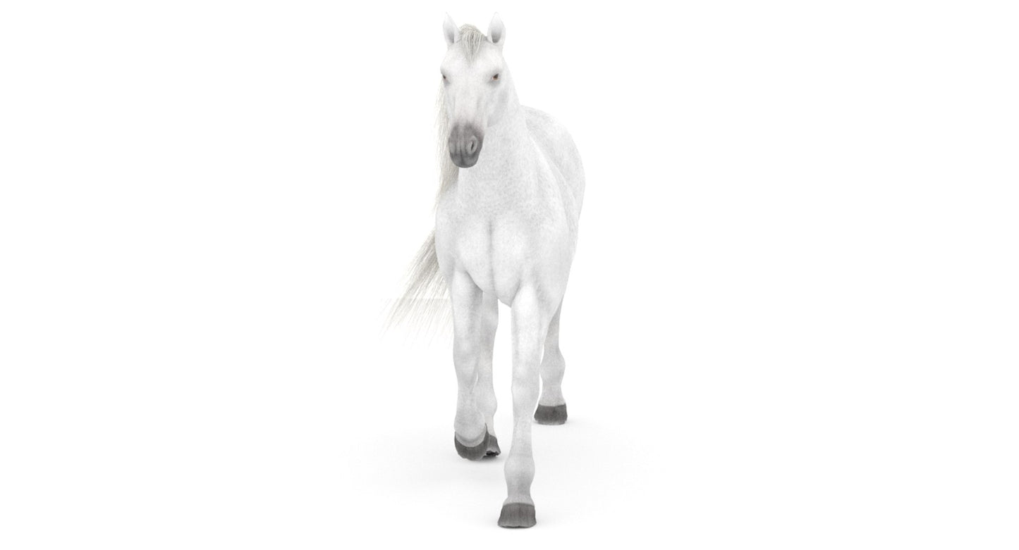 Rigged White Horse 3D Model