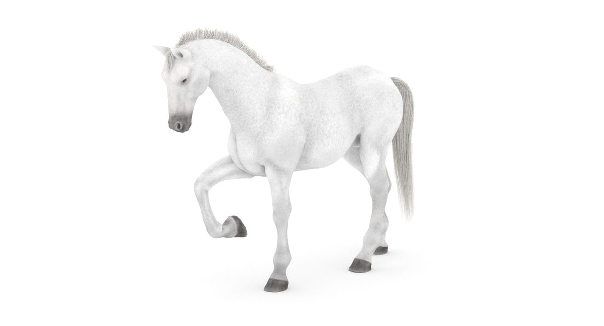 Rigged White Horse 3D Model