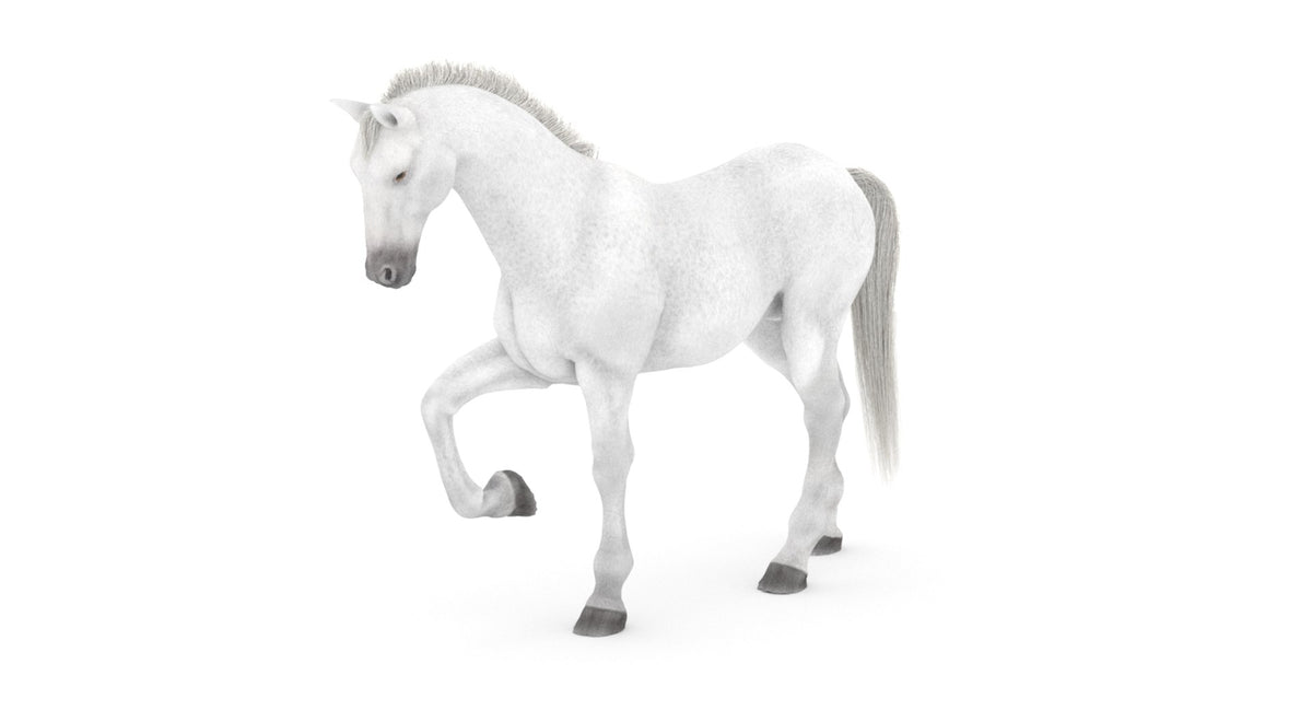 Rigged White Horse 3D Model