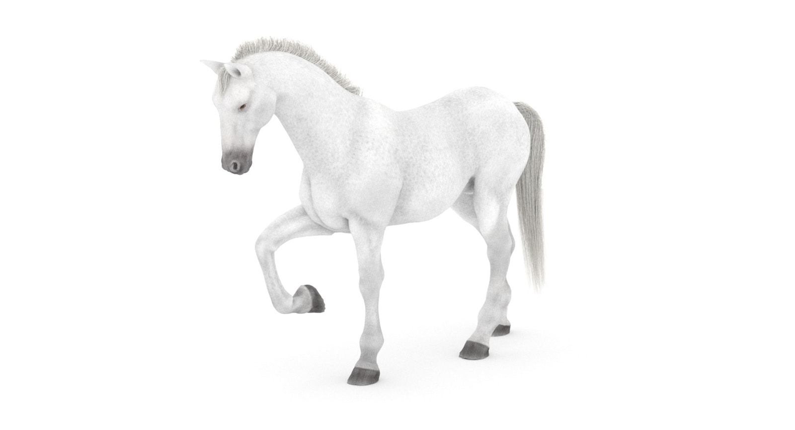 Rigged White Horse 3D Model