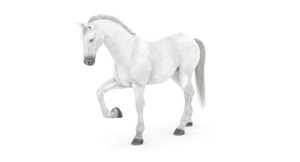 Rigged White Horse 3D Model Thumbnail