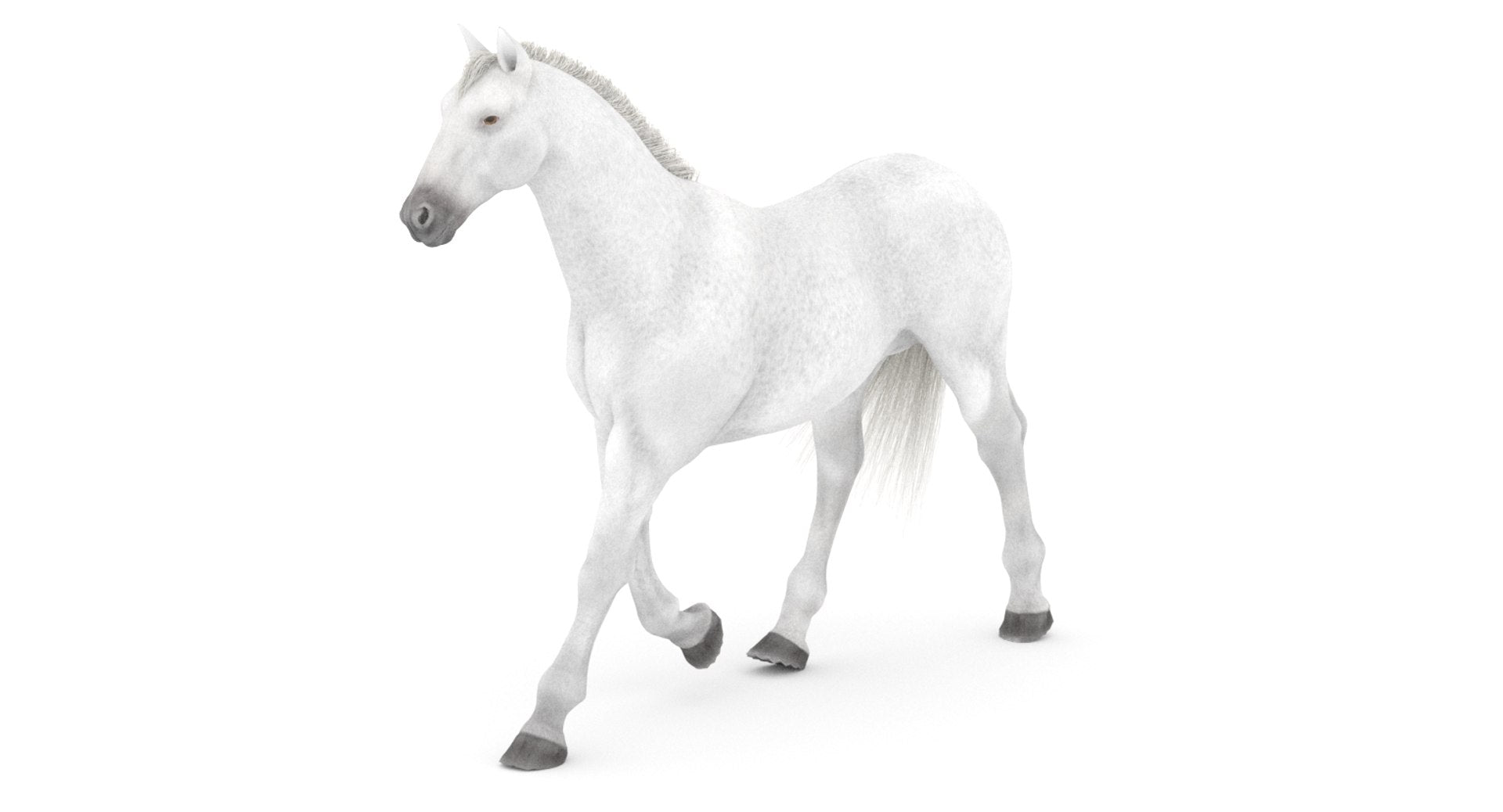 Rigged White Horse 3D Model