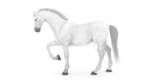 Rigged White Horse 3D Model Thumbnail
