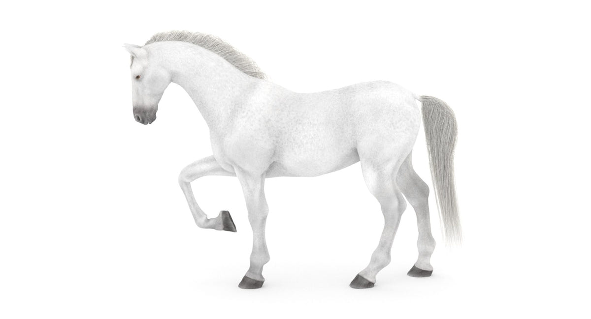 Rigged White Horse 3D Model