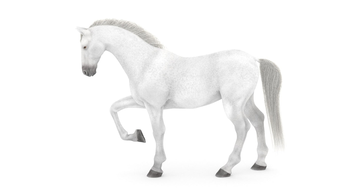 Rigged White Horse 3D Model