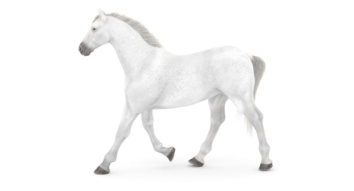 Rigged White Horse 3D Model