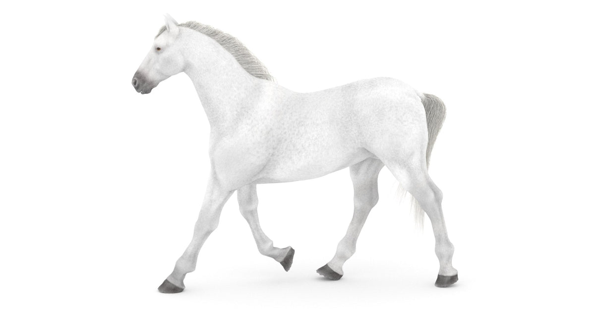 Rigged White Horse 3D Model